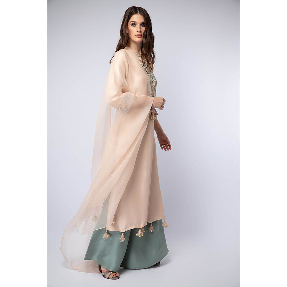 Payal Singhal Peach Kurta with Palazzo and Dupatta (Set of 3)