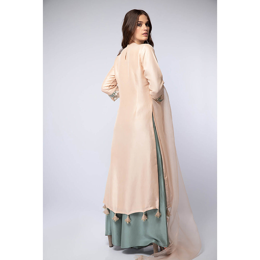 Payal Singhal Peach Kurta with Palazzo and Dupatta (Set of 3)