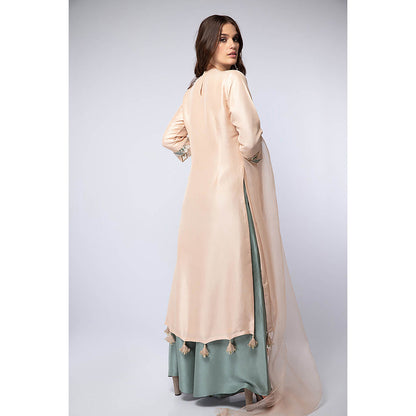 Payal Singhal Peach Kurta with Palazzo and Dupatta (Set of 3)