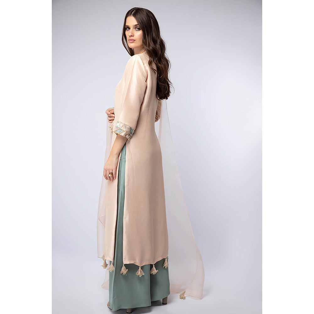 Payal Singhal Peach Kurta with Palazzo and Dupatta (Set of 3)