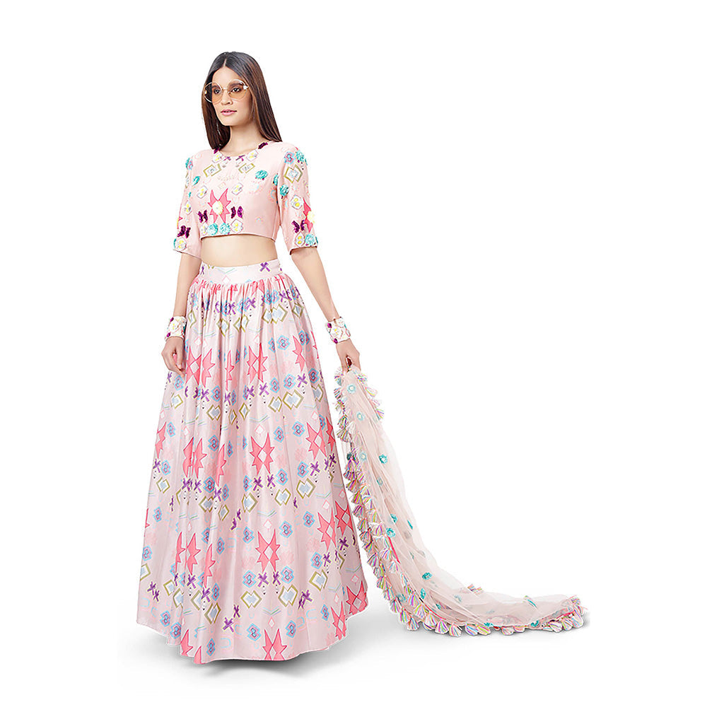 Payal Singhal Pink Printed Blouse with Lehenga and Dupatta (Set of 3)