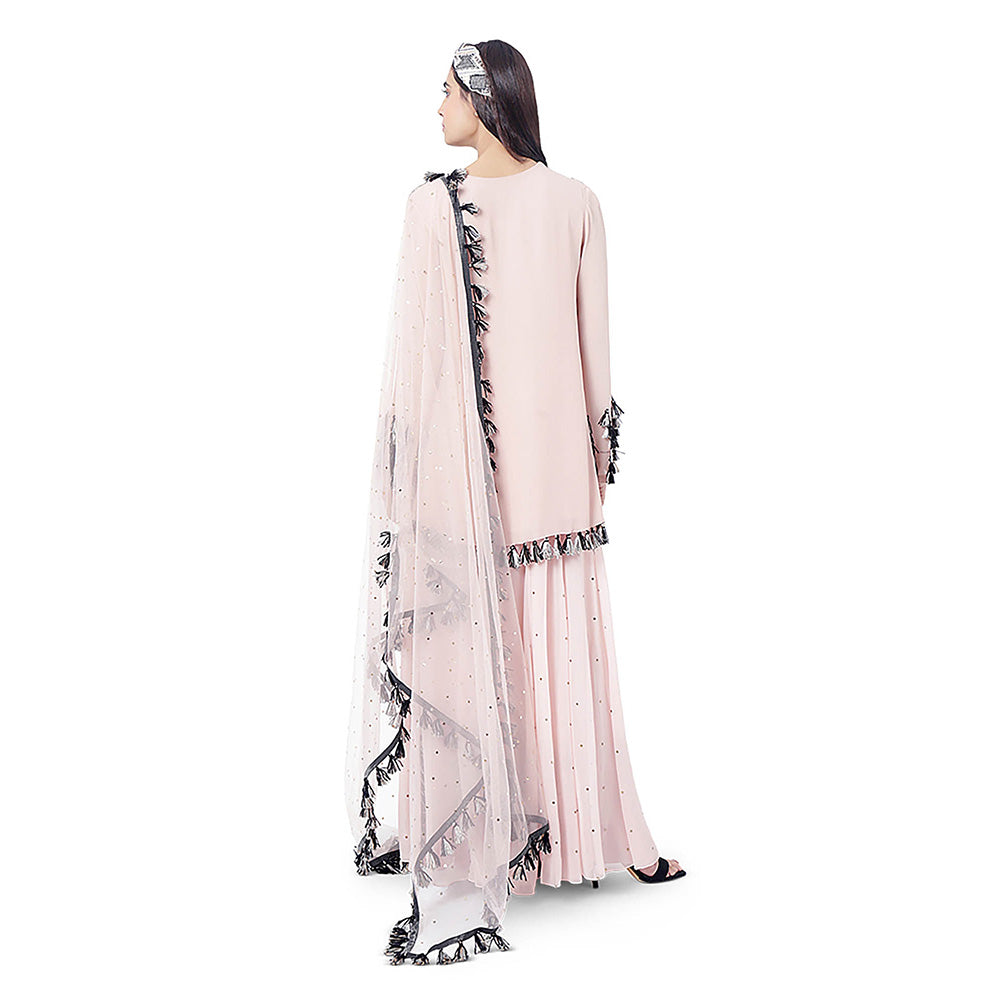 Payal Singhal Rose Pink Embroidered Kurta with Sharara and Dupatta (Set of 3)