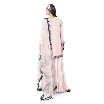 Payal Singhal Rose Pink Embroidered Kurta with Sharara and Dupatta (Set of 3)