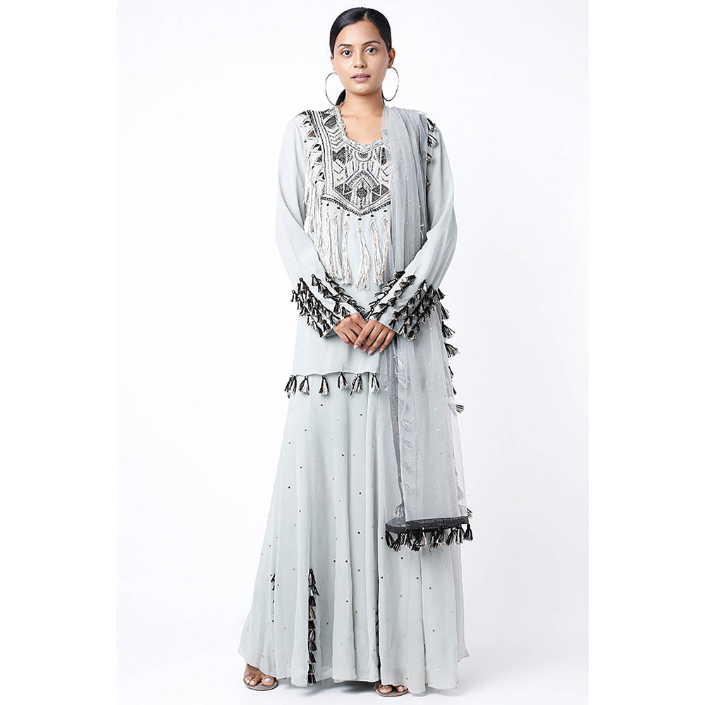 Payal Singhal Blue Embroidered Kurta with Sharara and Dupatta (Set of 3)