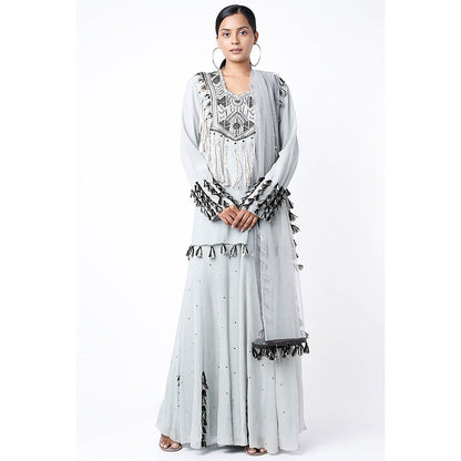 Payal Singhal Blue Embroidered Kurta with Sharara and Dupatta (Set of 3)