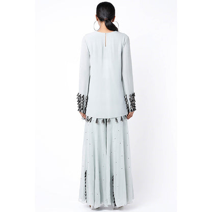 Payal Singhal Blue Embroidered Kurta with Sharara and Dupatta (Set of 3)