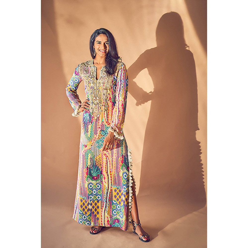 Payal Singhal Multi-Colour Embroidered Long Dress