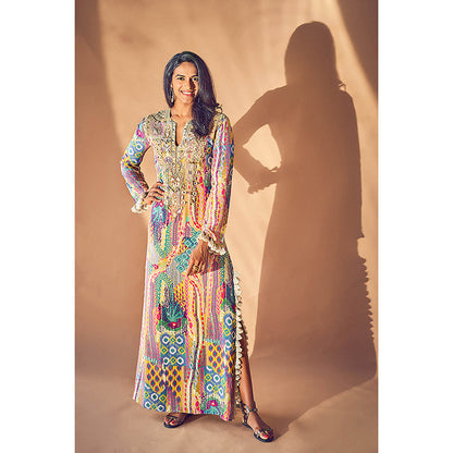 Payal Singhal Multi-Colour Embroidered Long Dress