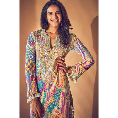 Payal Singhal Multi-Colour Embroidered Long Dress