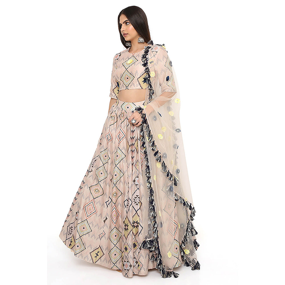 Payal Singhal Beige Print Embroidered Blouse with Lehenga and Dupatta (Set of 3)