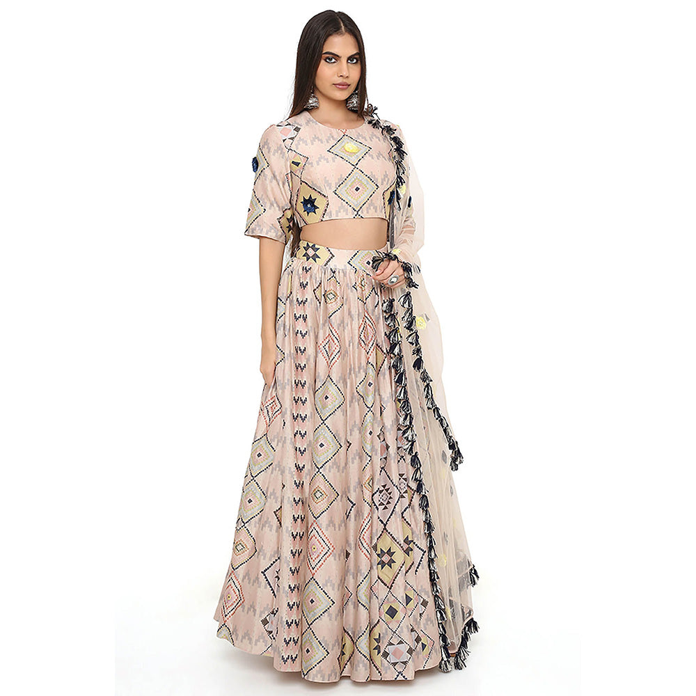 Payal Singhal Beige Print Embroidered Blouse with Lehenga and Dupatta (Set of 3)