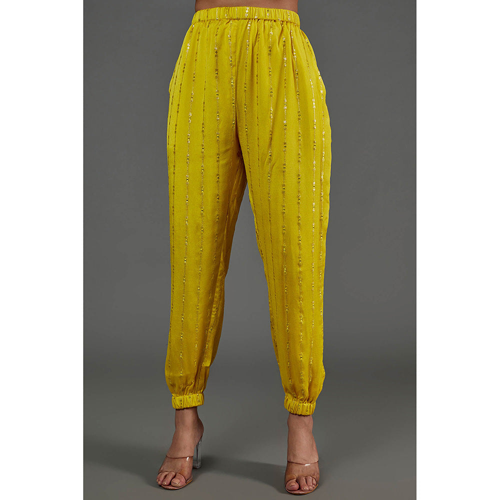 Payal Singhal Yellow Kurta with Pant with Jacket (Set of 3)