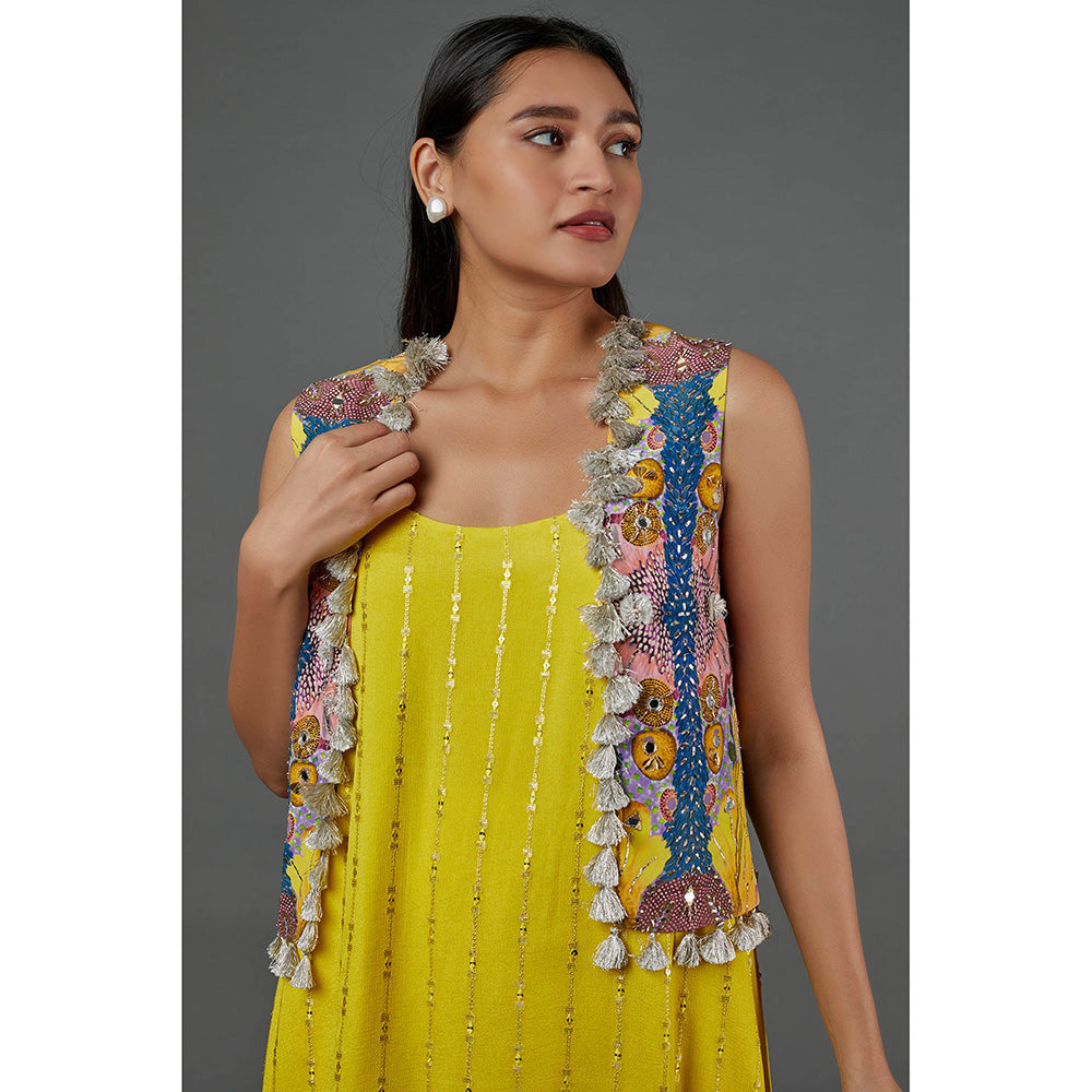 Payal Singhal Yellow Kurta with Pant with Jacket (Set of 3)