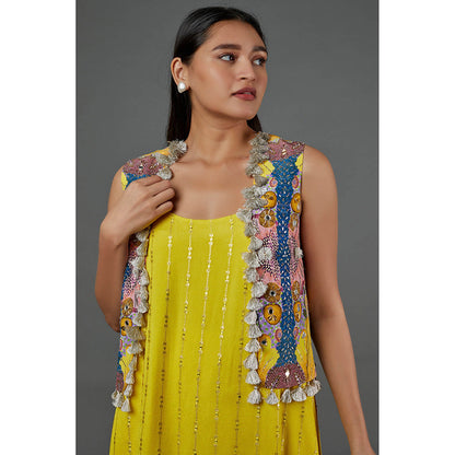 Payal Singhal Yellow Kurta with Pant with Jacket (Set of 3)