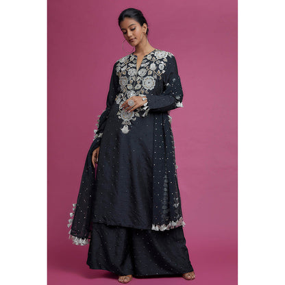Payal Singhal Blue Embroidered Kurta with Palazzo and Dupatta (Set of 3)