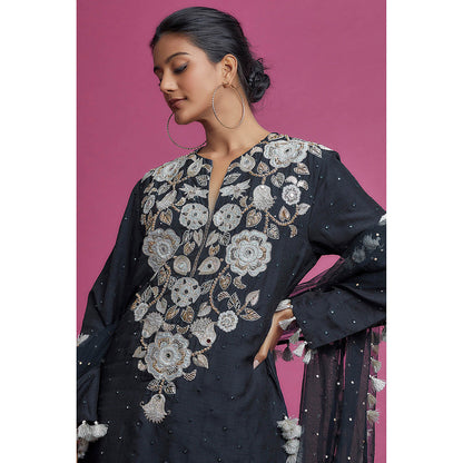 Payal Singhal Blue Embroidered Kurta with Palazzo and Dupatta (Set of 3)