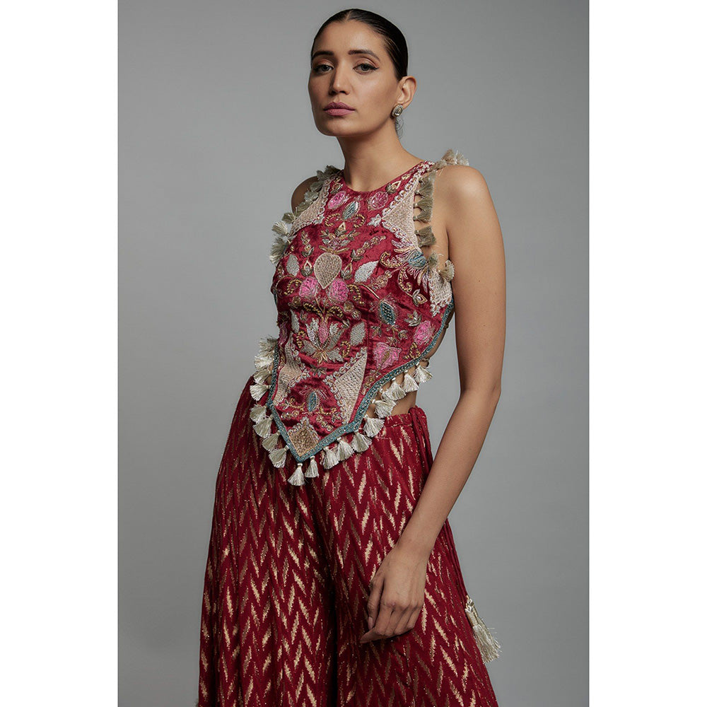 Payal Singhal Maroon Embroidered Back Tie-Up Choli with Sharara (Set of 2)