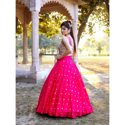 Payal Dawar Pink Ethnic Bias Crop Top with Skirt (Set of 2)