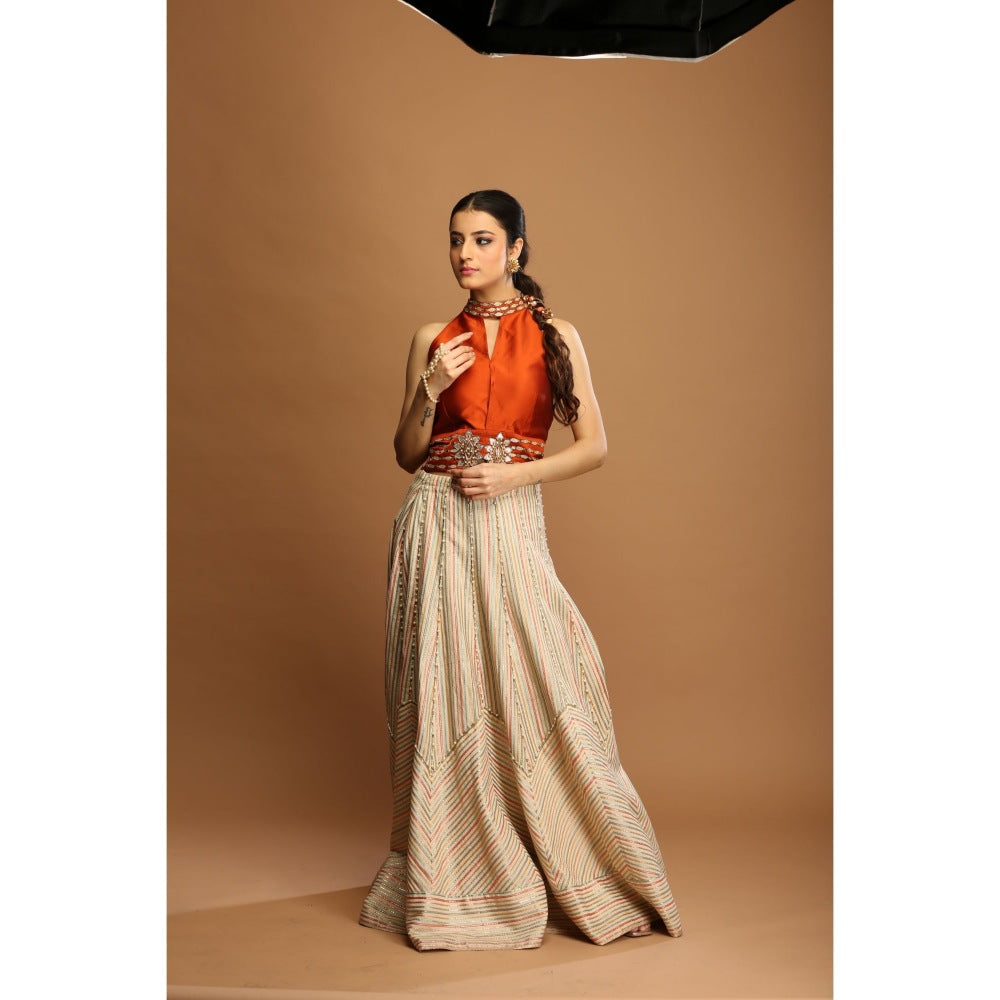 Payal Dawar Brown Grace Empowered Top with Skirt (Set of 2)