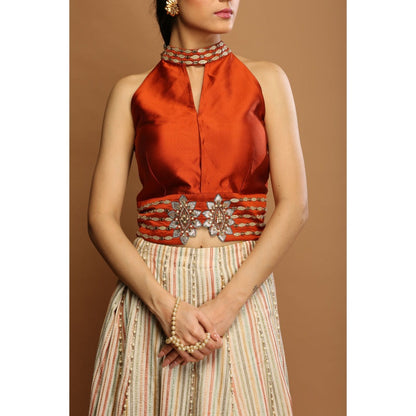 Payal Dawar Brown Grace Empowered Top with Skirt (Set of 2)