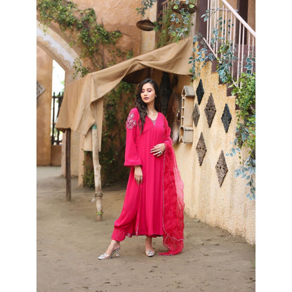 Payal Dawar Pink Nargis Kurta with Salwar and Dupatta (Set of 3)