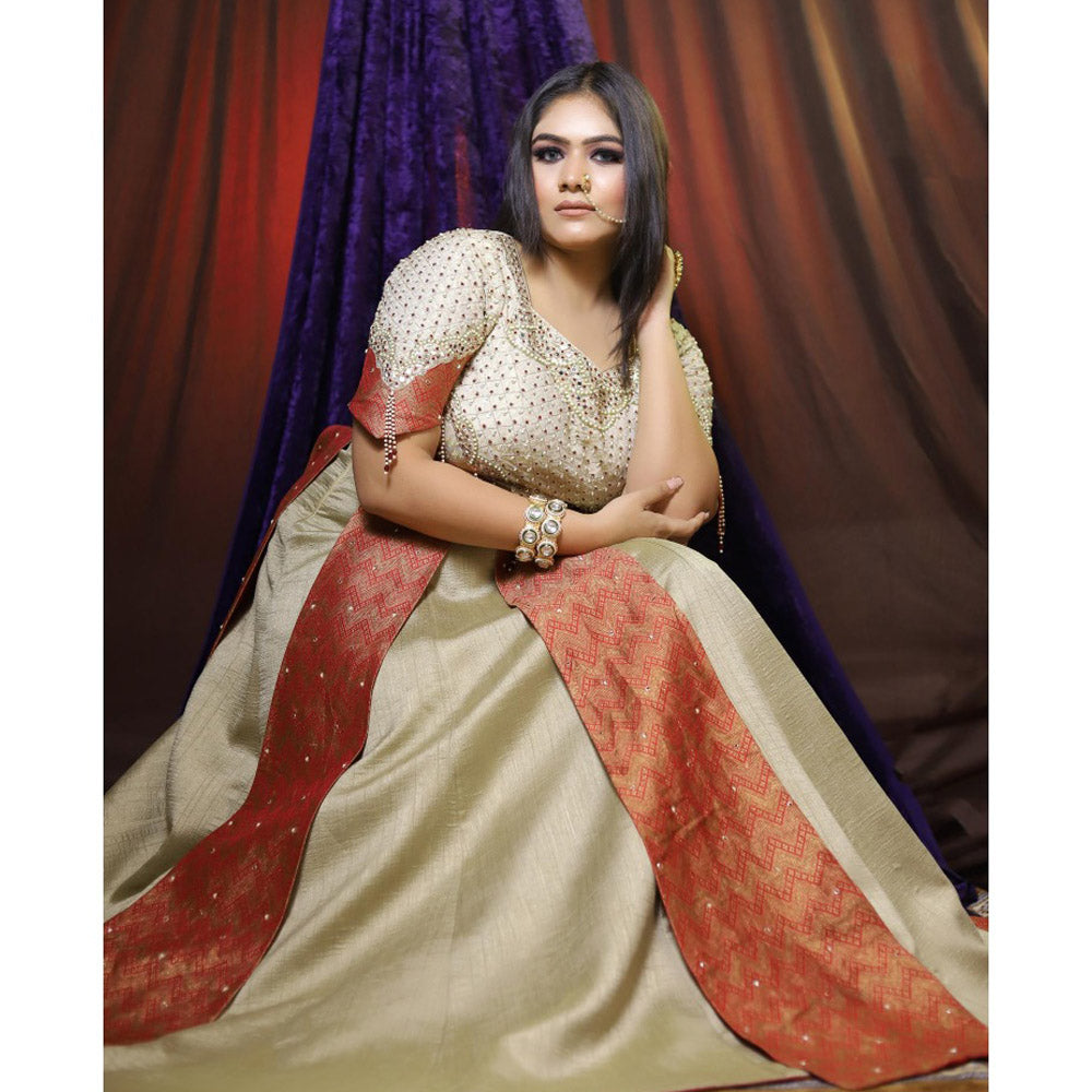 Payal Dawar Deewani Mastani Embellished Kurta and Lehenga (Set of 2)