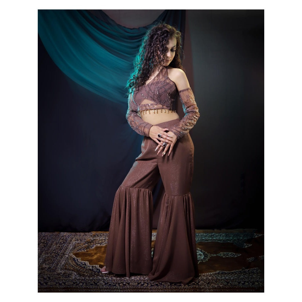 Payal Dawar Brown Bold Embellished Top and Sharara with Detachable Sleeves (Set of 3)