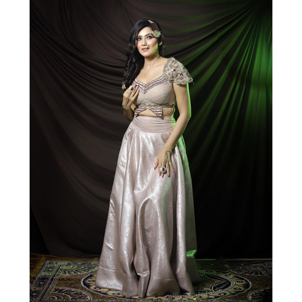 Payal Dawar Bold Butterfly Embroidered Blouse and Lehenga (Set of 2)