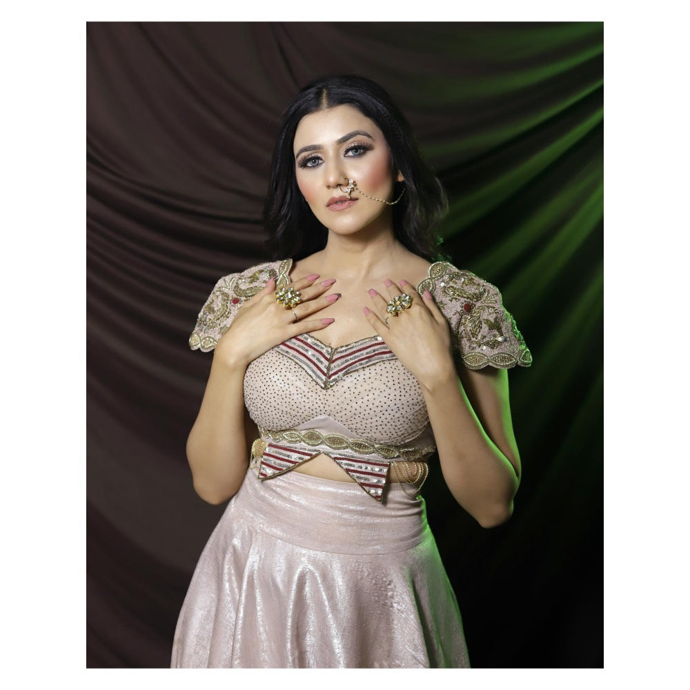 Payal Dawar Bold Butterfly Embroidered Blouse and Lehenga (Set of 2)