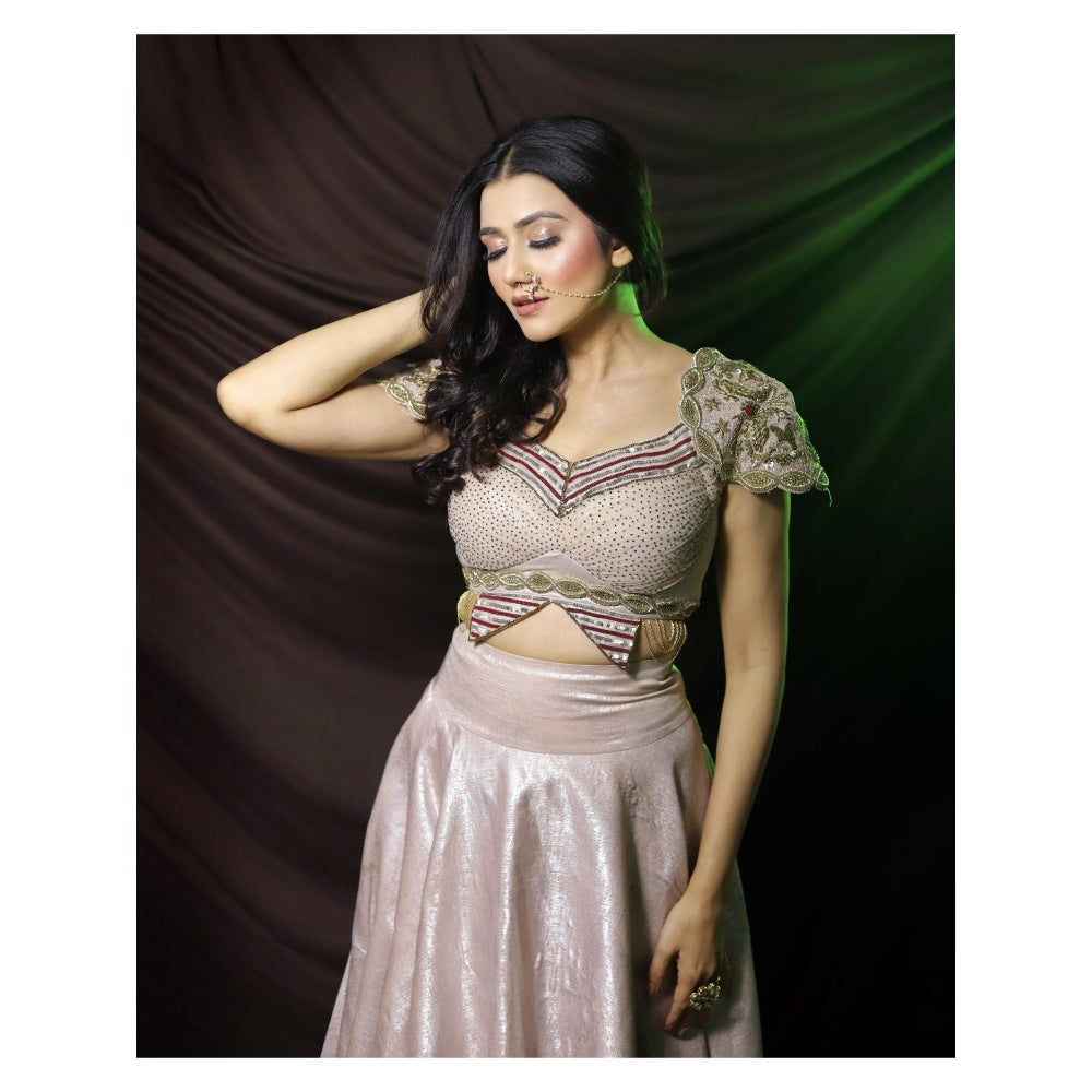 Payal Dawar Bold Butterfly Embroidered Blouse and Lehenga (Set of 2)