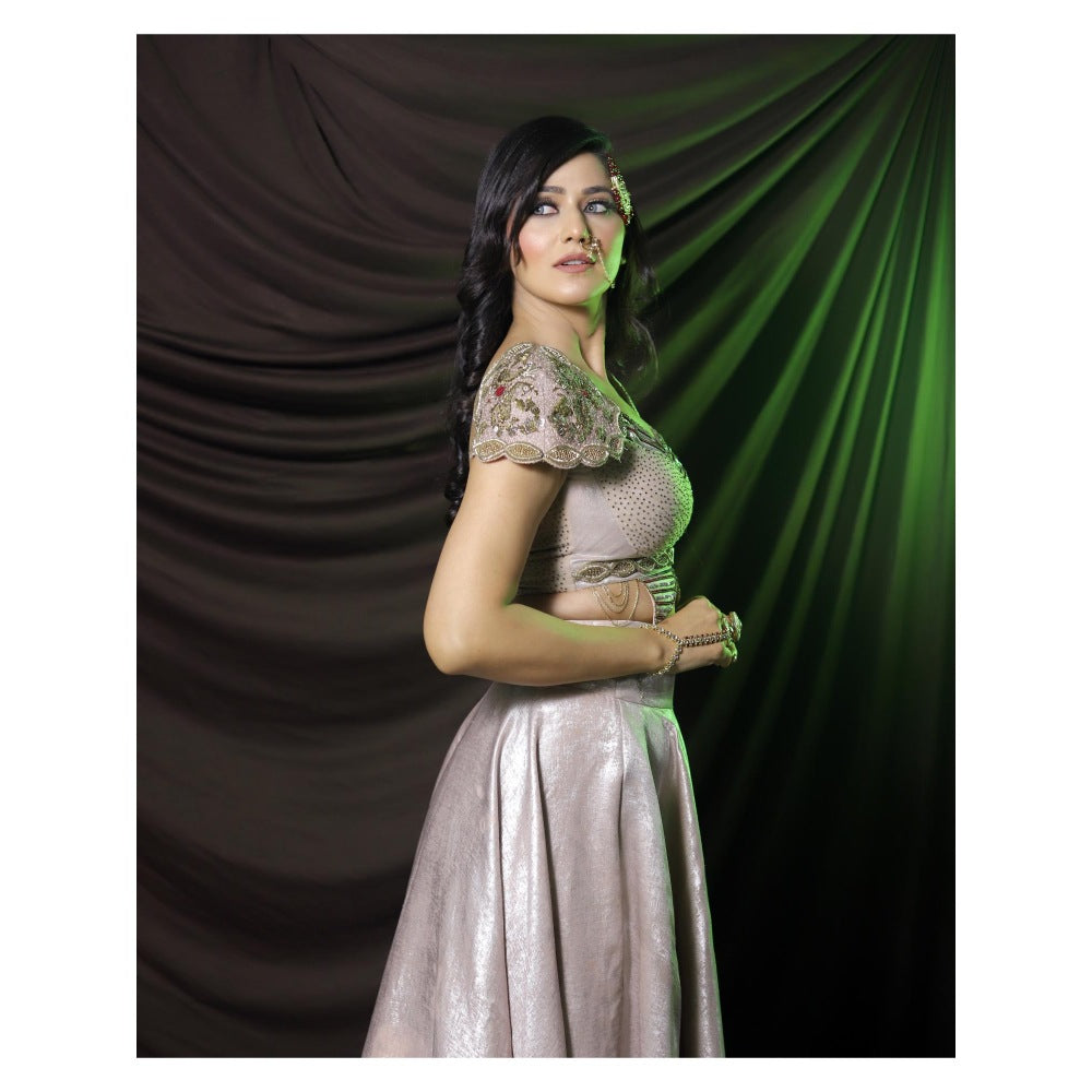 Payal Dawar Bold Butterfly Embroidered Blouse and Lehenga (Set of 2)