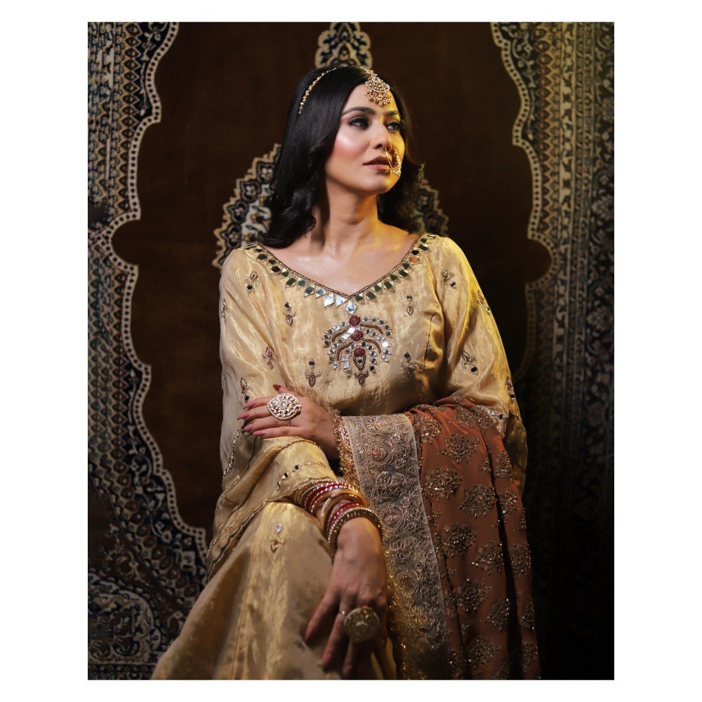 Payal Dawar Pakistani Embellished Kurta with Sharara and Dupatta (Set of 3)