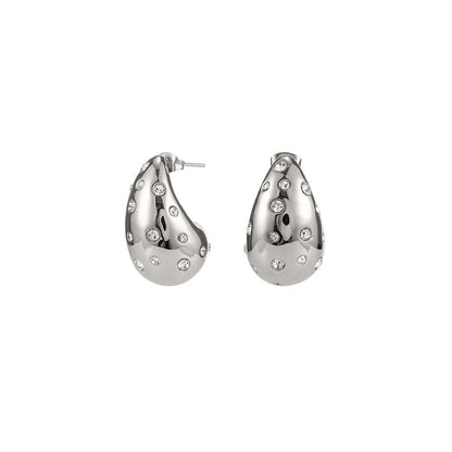 Peachy Accessories Exquisite Silver Drop Earrings