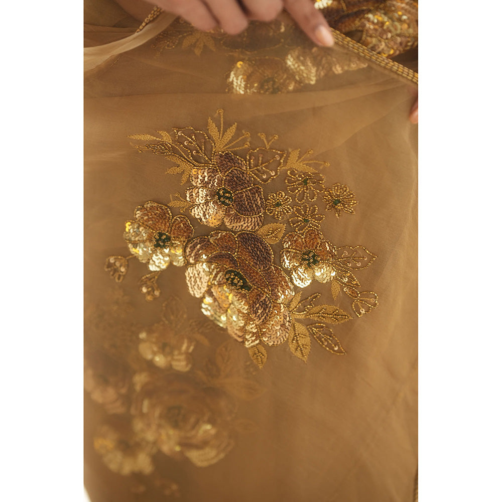 PEELI DORI Paro Gold Organza Embroidered Saree with Stitched Blouse