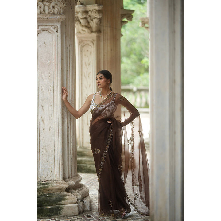 PEELI DORI Brown Expresso Organza Embroidered Saree with Stitched Blouse