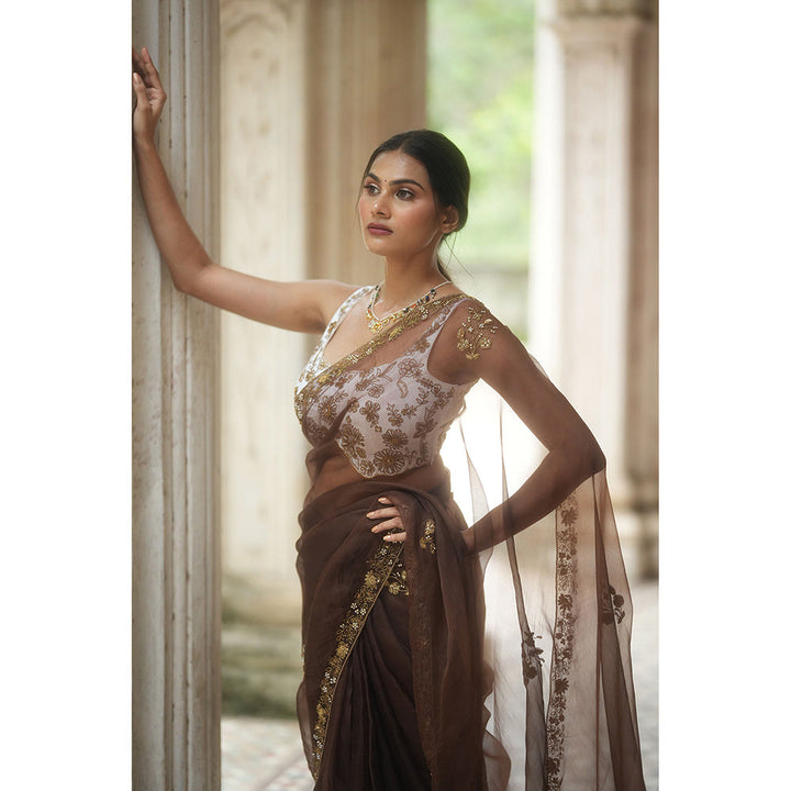 PEELI DORI Brown Expresso Organza Embroidered Saree with Stitched Blouse