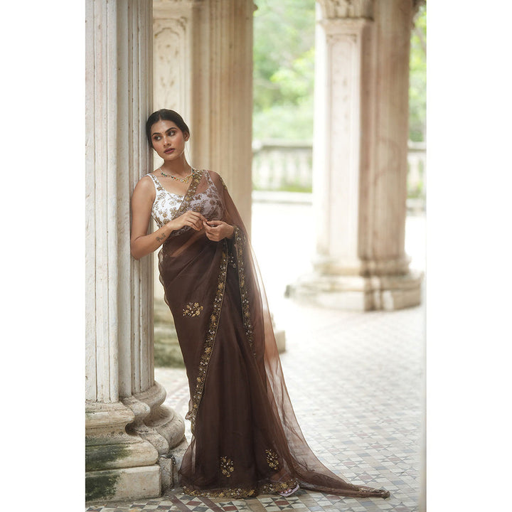 PEELI DORI Brown Expresso Organza Embroidered Saree with Stitched Blouse