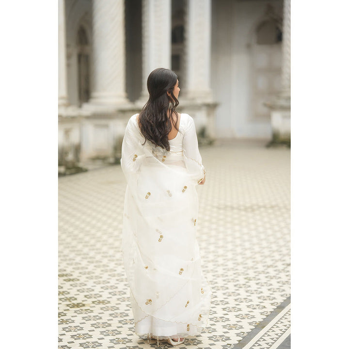 PEELI DORI Iris White Organza Embellished Saree with Stitched Blouse