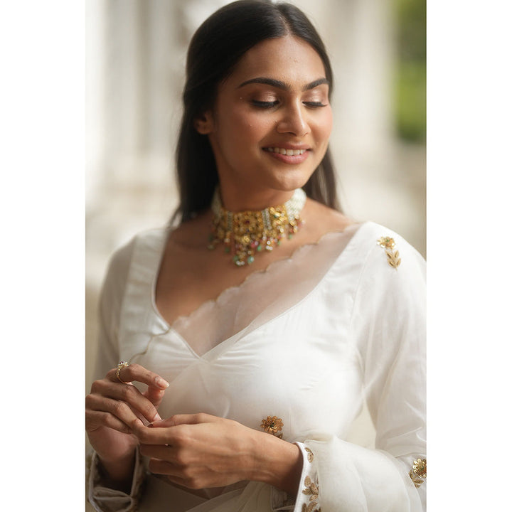 PEELI DORI Iris White Organza Embellished Saree with Stitched Blouse