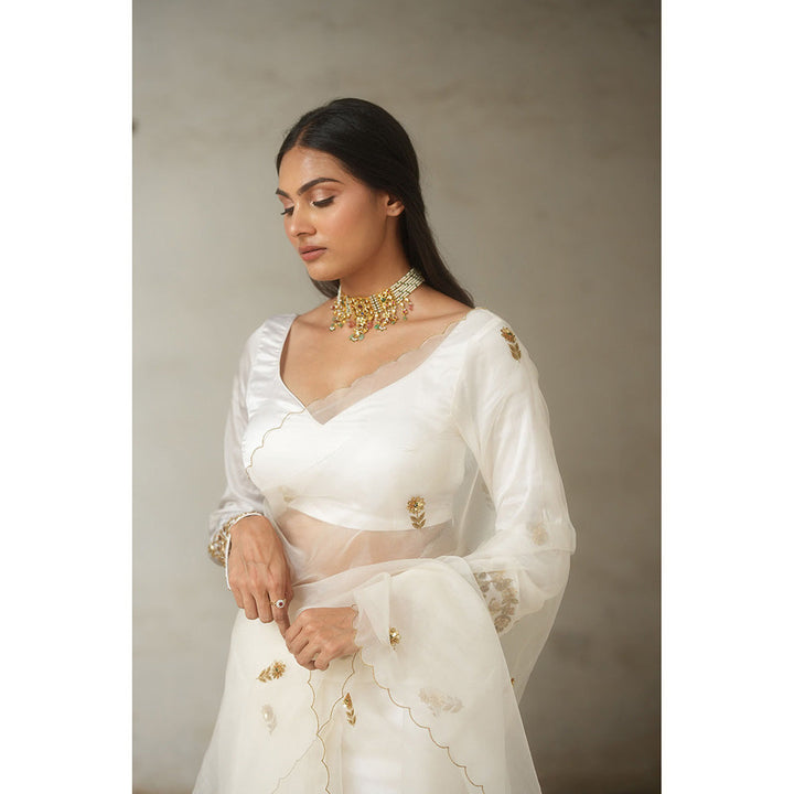 PEELI DORI Iris White Organza Embellished Saree with Stitched Blouse