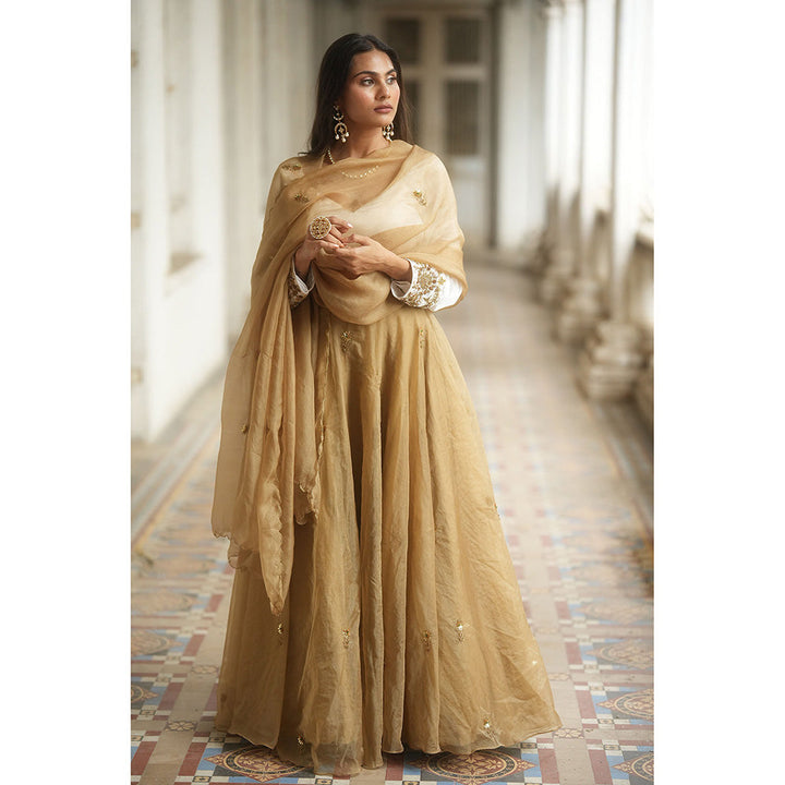 PEELI DORI Rukhsat Gold Organza Lehenga with Blouse and Dupatta (Set of 3)