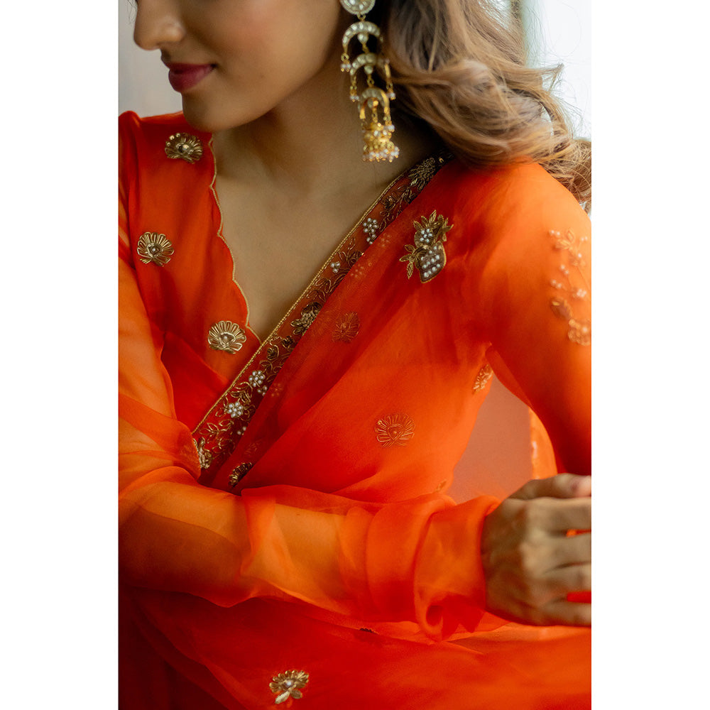 PEELI DORI Rashi Silk Orange Embellished Organza Saree with Stitched Blouse