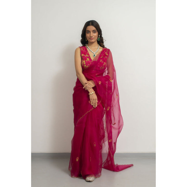 PEELI DORI Roopa Rani Embellished Wine Saree with Stitched Blouse