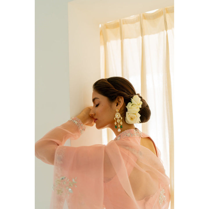 PEELI DORI Blush Pink Embellished Saree with Stitched Blouse