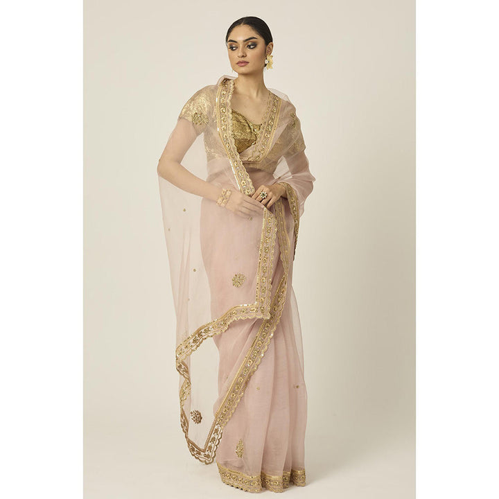 PEELI DORI Pink Mastani Silk Organza Saree with Stitched Blouse