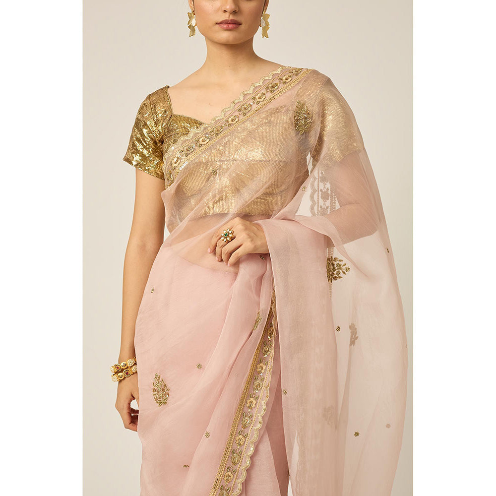 PEELI DORI Pink Mastani Silk Organza Saree with Stitched Blouse