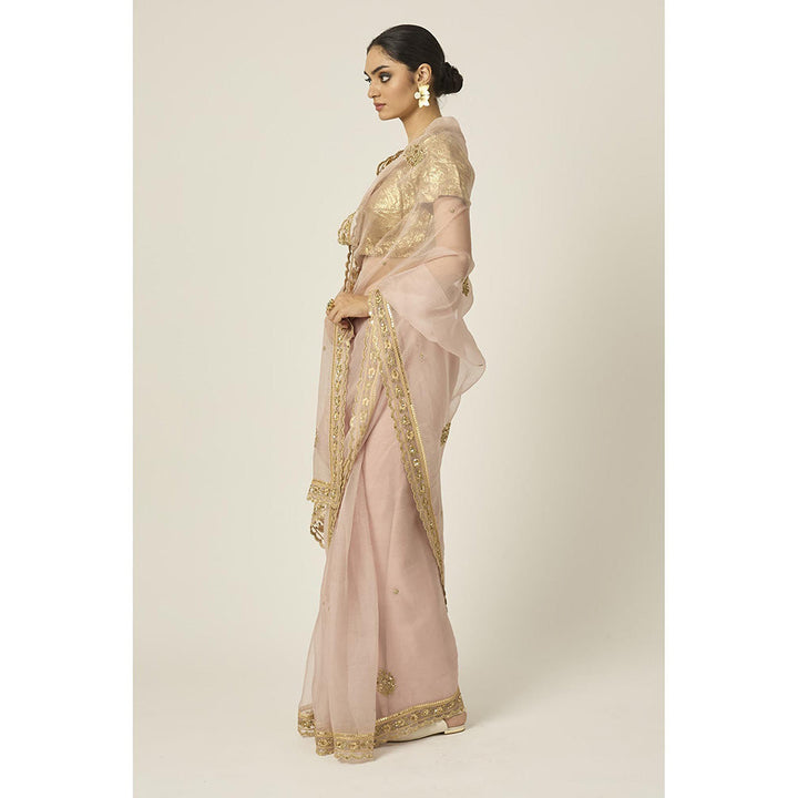 PEELI DORI Pink Mastani Silk Organza Saree with Stitched Blouse