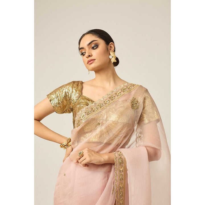 PEELI DORI Pink Mastani Silk Organza Saree with Stitched Blouse