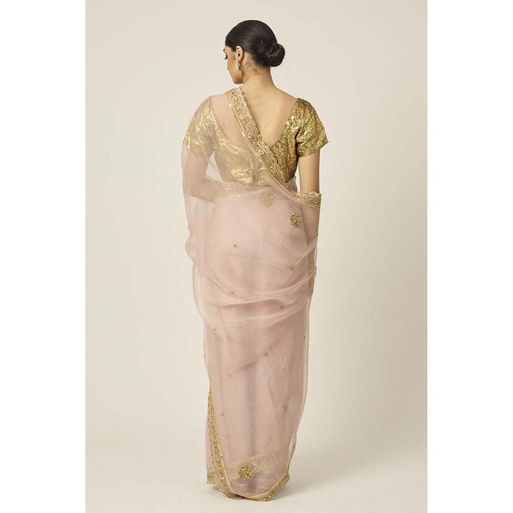 PEELI DORI Pink Mastani Silk Organza Saree with Stitched Blouse