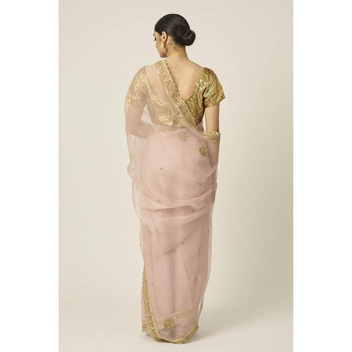 PEELI DORI Pink Mastani Silk Organza Saree with Stitched Blouse